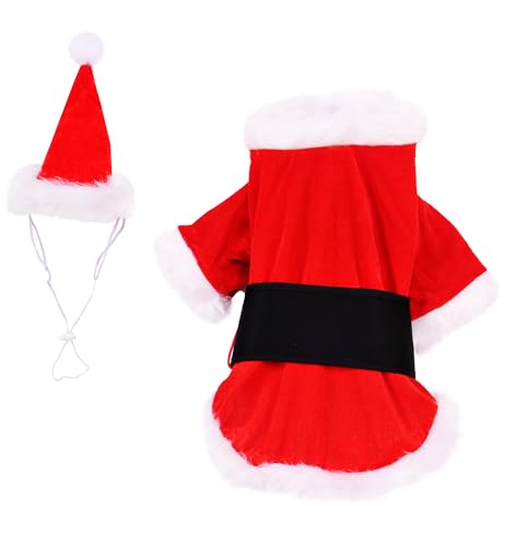 Rubies belt completes the Santa look for a holiday moment