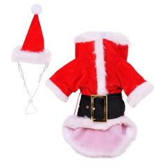 Rubies Santa Claus pet costume hat for playful Christmas moments