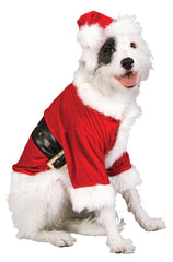 Rubies Santa Claus pet costume jacket for festive holiday photos