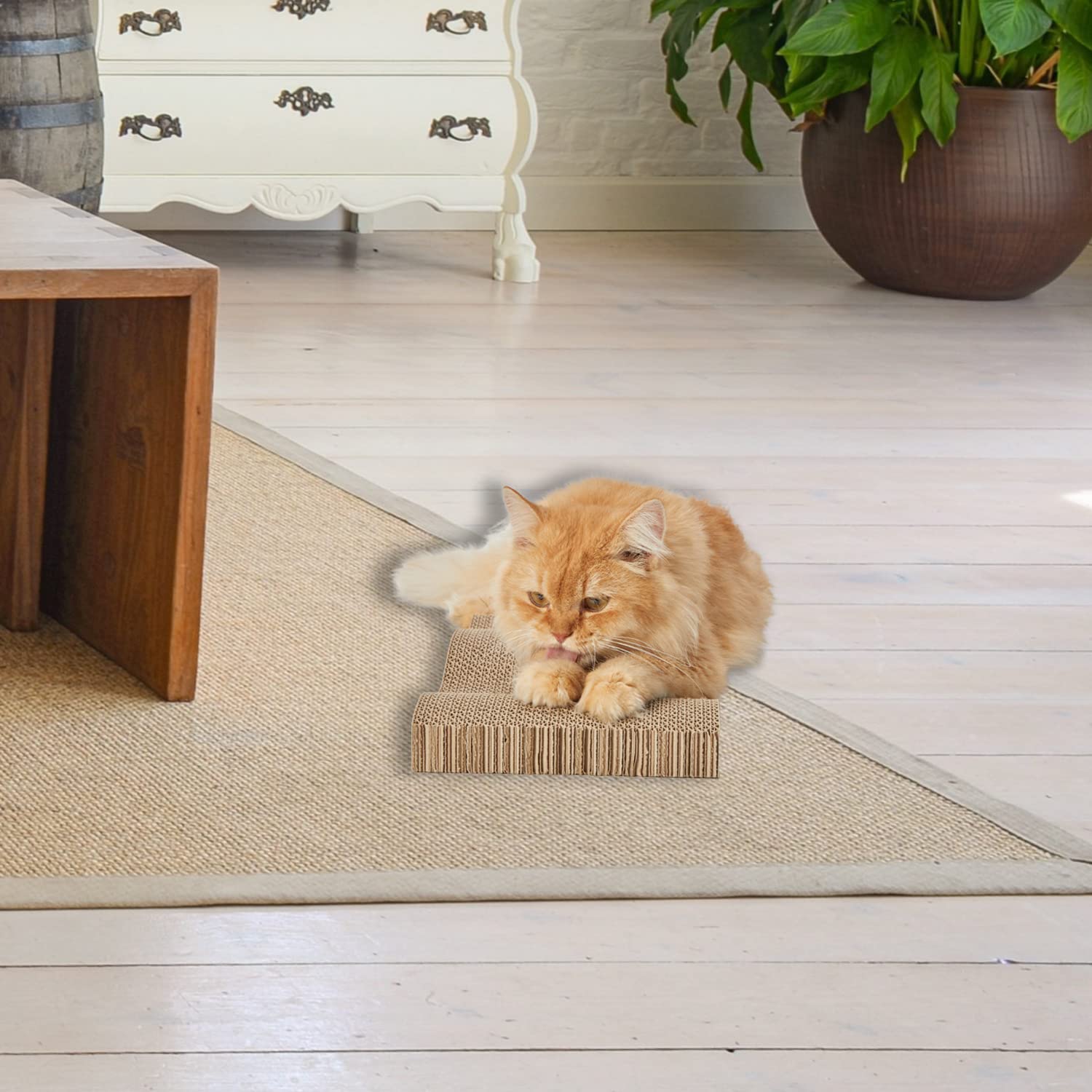 RUBMEOW ideal for single or multi-cat indoor homes with shared scratching space
