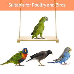 Ruby Q chicken swing toy shows simple installation for coop roofs and cages.