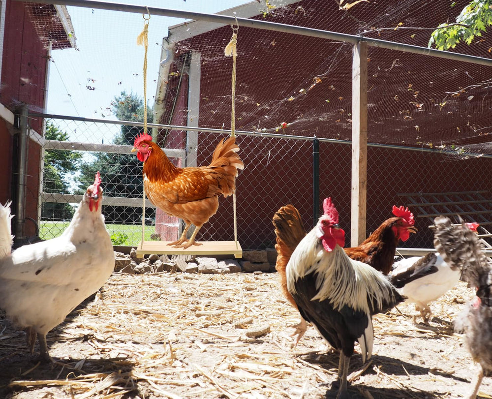 Ruby Q chicken swing toy uses durable natural materials for long-lasting use.