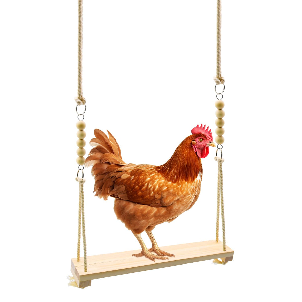 Ruby Q chicken swing toy wood perch provides sturdy resting and playful perching in coops.