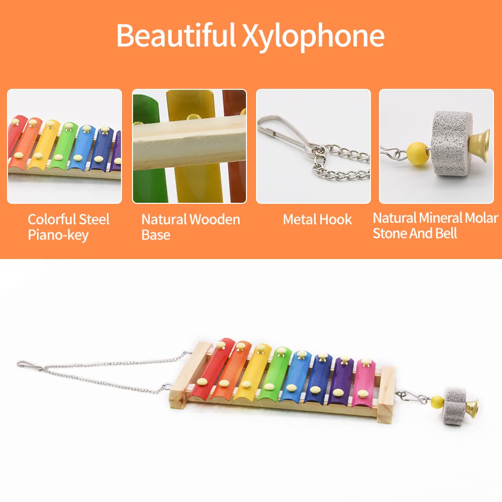 Ruby.Q chicken xylophone colorful iron sheets attract curious birds during play.