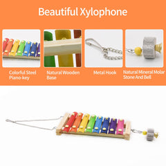 Ruby.Q chicken xylophone colorful iron sheets attract curious birds during play.