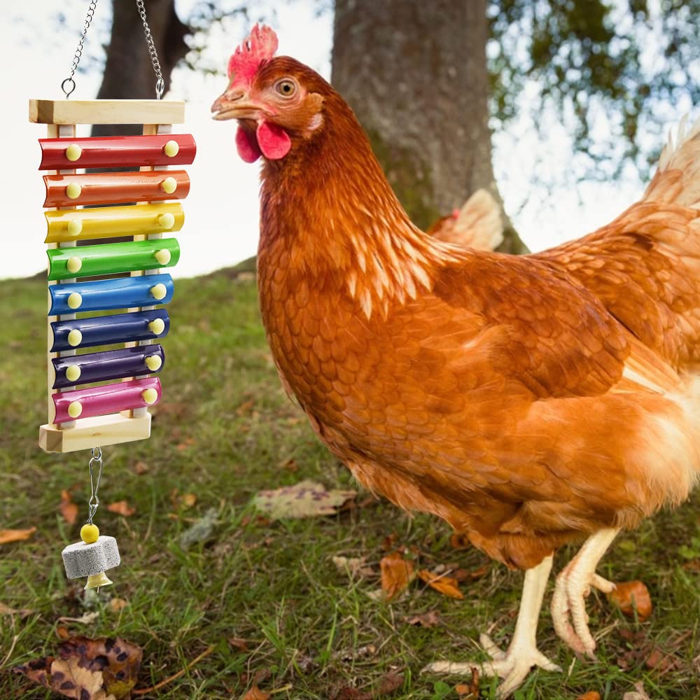 Ruby.Q natural mineral molar stone with bell adds calcium-rich distraction during activity.