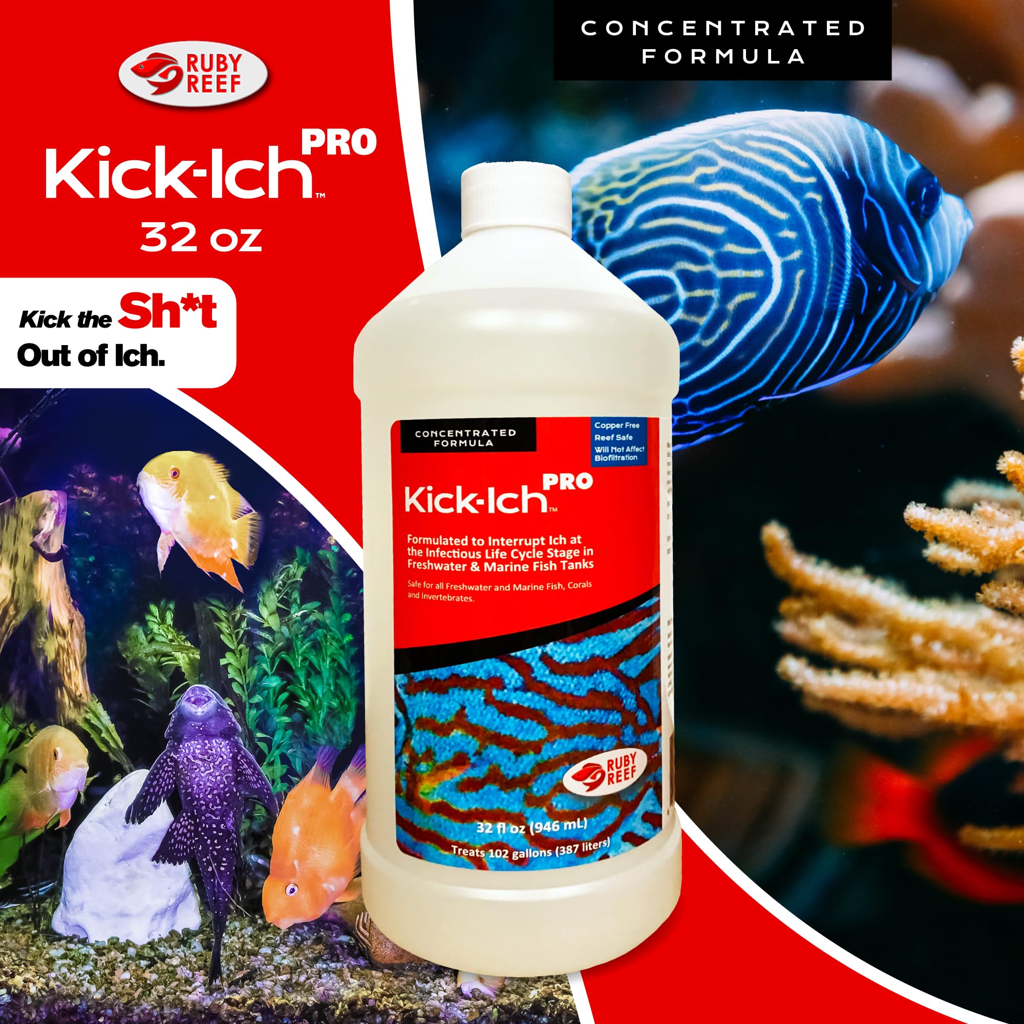Ruby Reef Kick Ich Pro label closeup highlights product name and dosing directions.