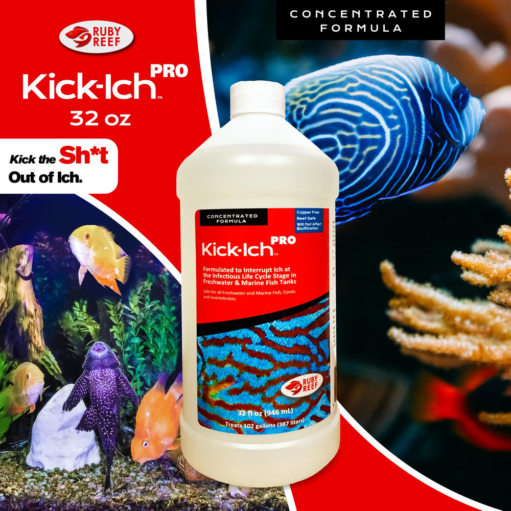 Ruby Reef Kick Ich Pro label closeup highlights product name and dosing directions.