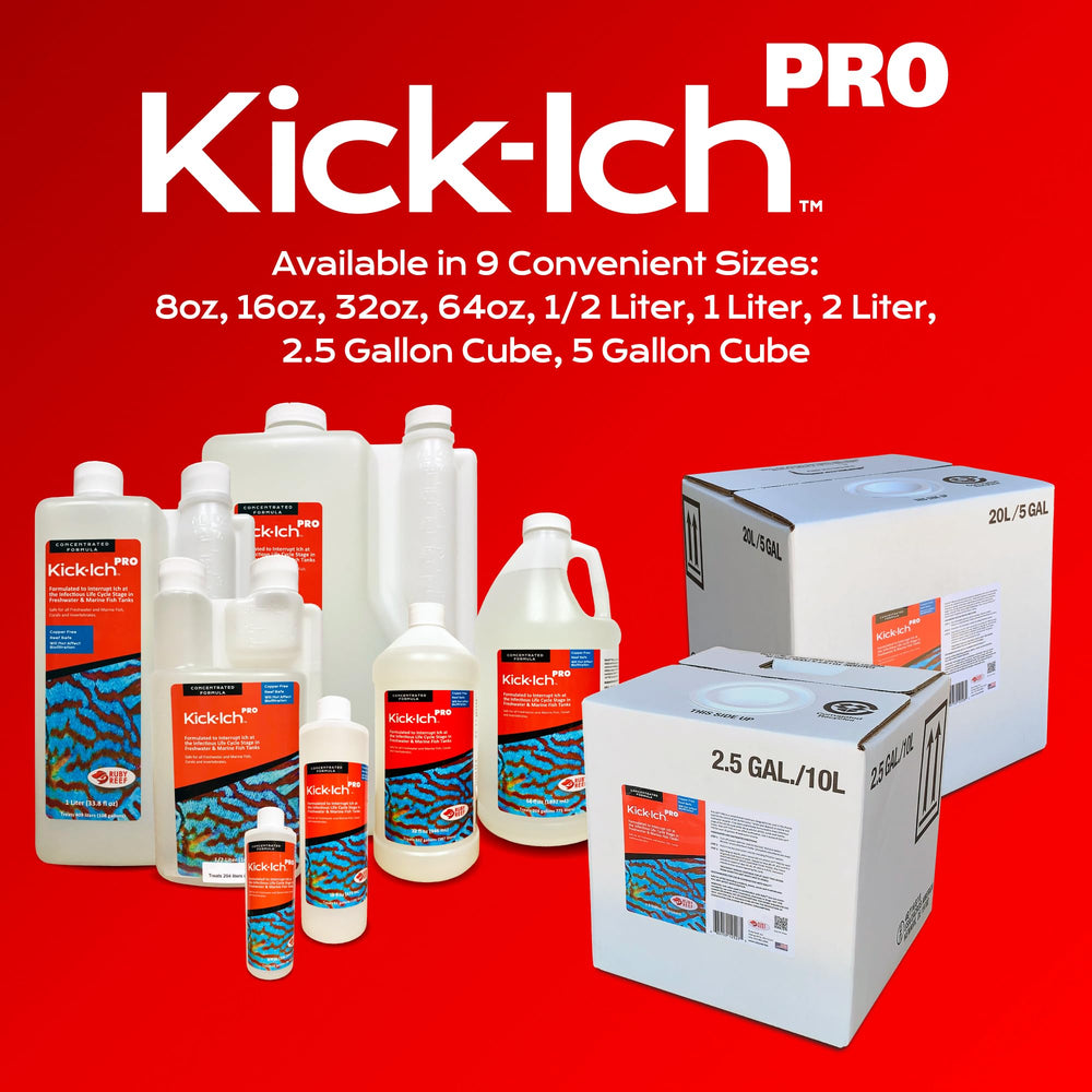 Ruby Reef Kick Ich Pro packaging image conveys product trust and shelf-ready storage.