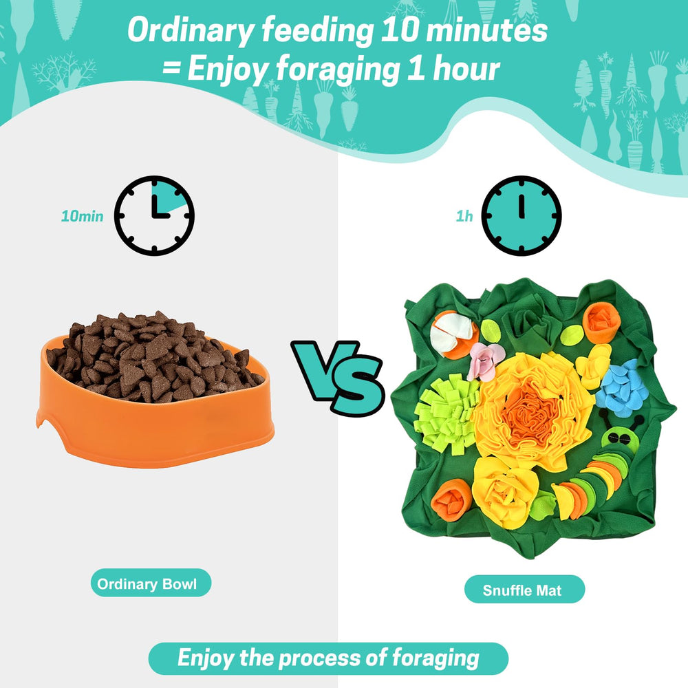 RUBYHOME-foraging-mat-anxiety-relief-mealtime shows mealtime turned into a treasure hunt.