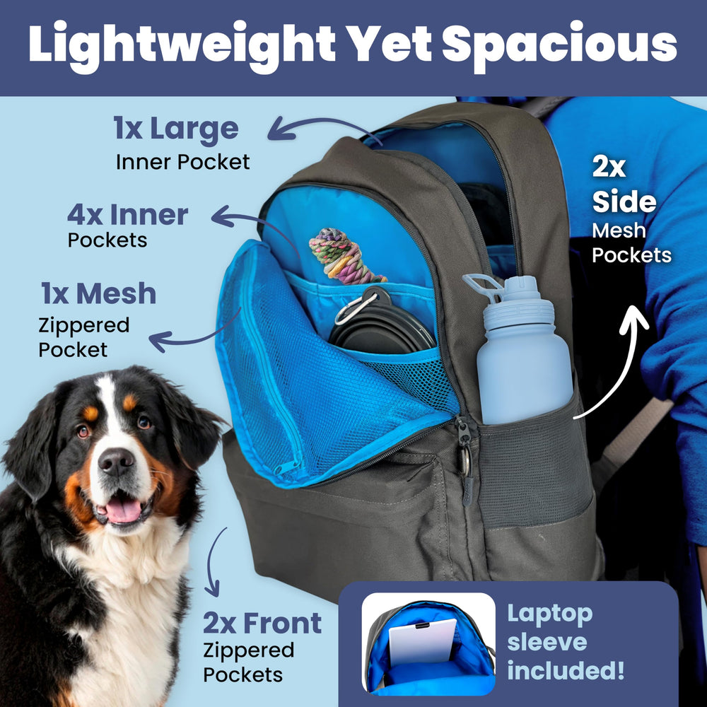 Rubyloo dog travel bag treat pouch helps store rewards during walks.