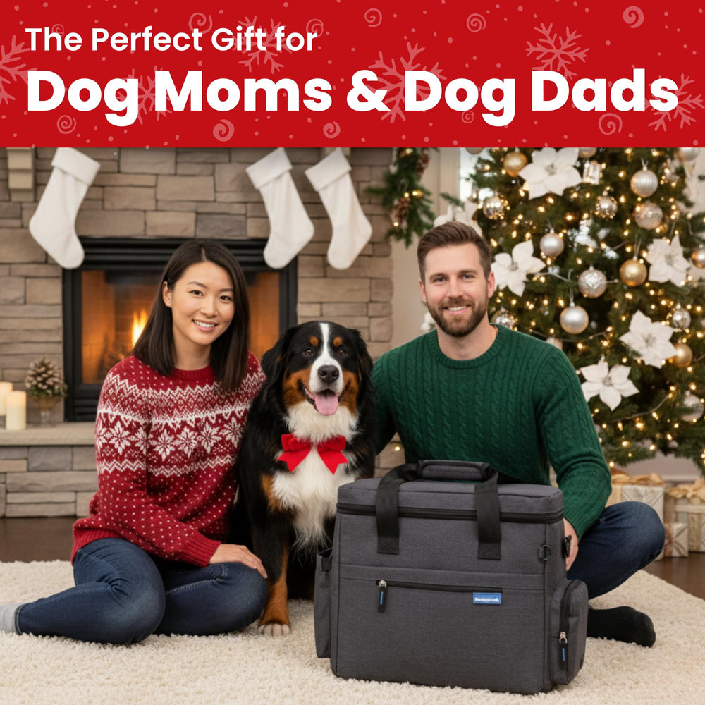 Rubyloo Doggy Bag side pockets and poop bag dispenser for on the go cleanup