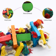 RUBY.Q colorful wooden toy draws attention and engagement