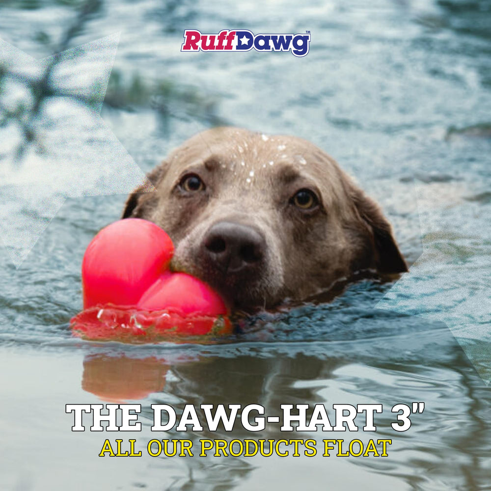 Ruff Dawg Ball fetch-ready for outdoor adventures and backyard games with bright bounce.
