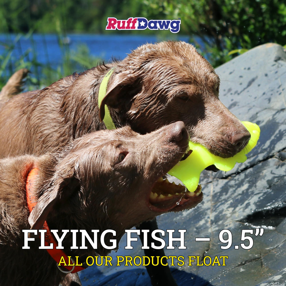 Ruff Dawg Flying Fish close-up shows durable rubber texture.