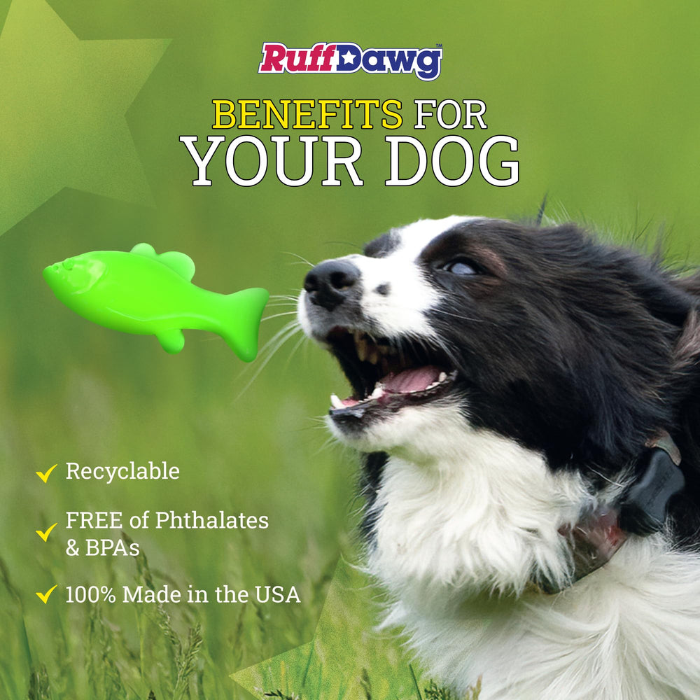 Ruff Dawg Flying Fish in pool demonstrates water fetch suitability.