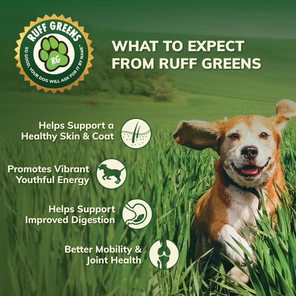 Ruff Greens large-breed-formula-jar supports bigger paws and robust joint health.