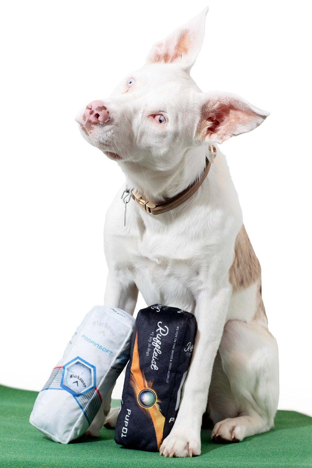 Ruff Puff golf ball design—great for indoor and outdoor play sessions.