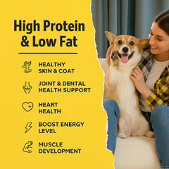 Ruff Town Rescue single-ingredient chicken—pure, simple snack for sensitive stomachs