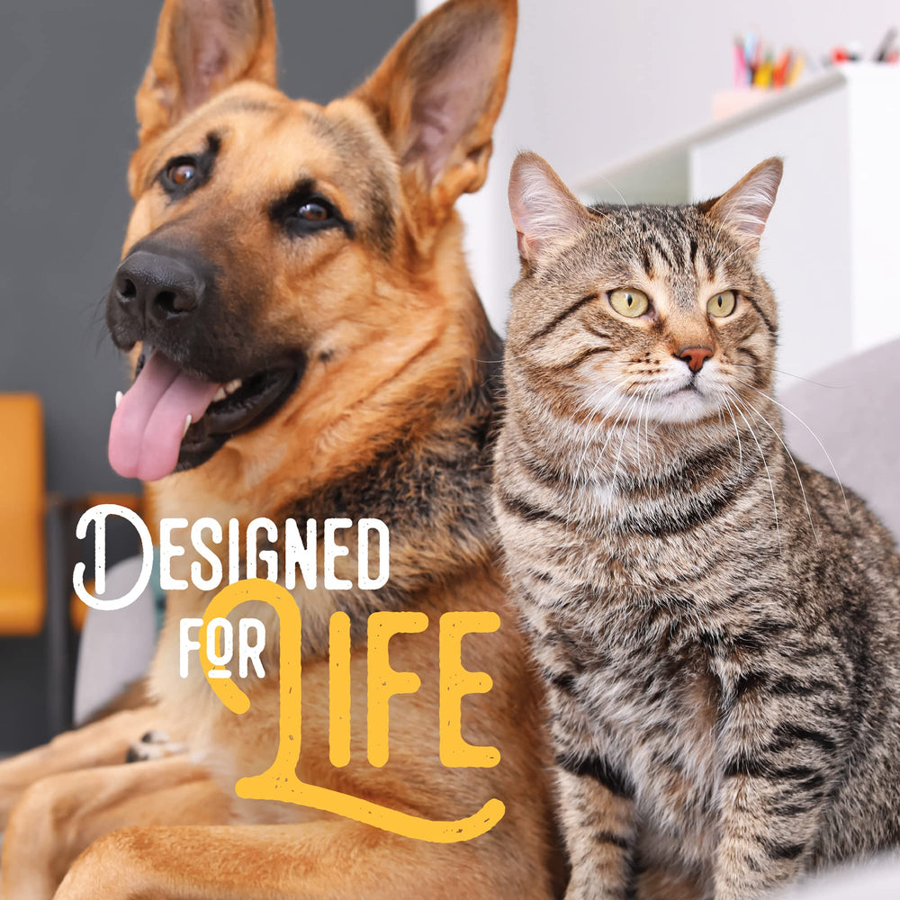 RUFFIN' IT Reaowazo Woodlands Plush Squirrel Toy travels well for car rides.