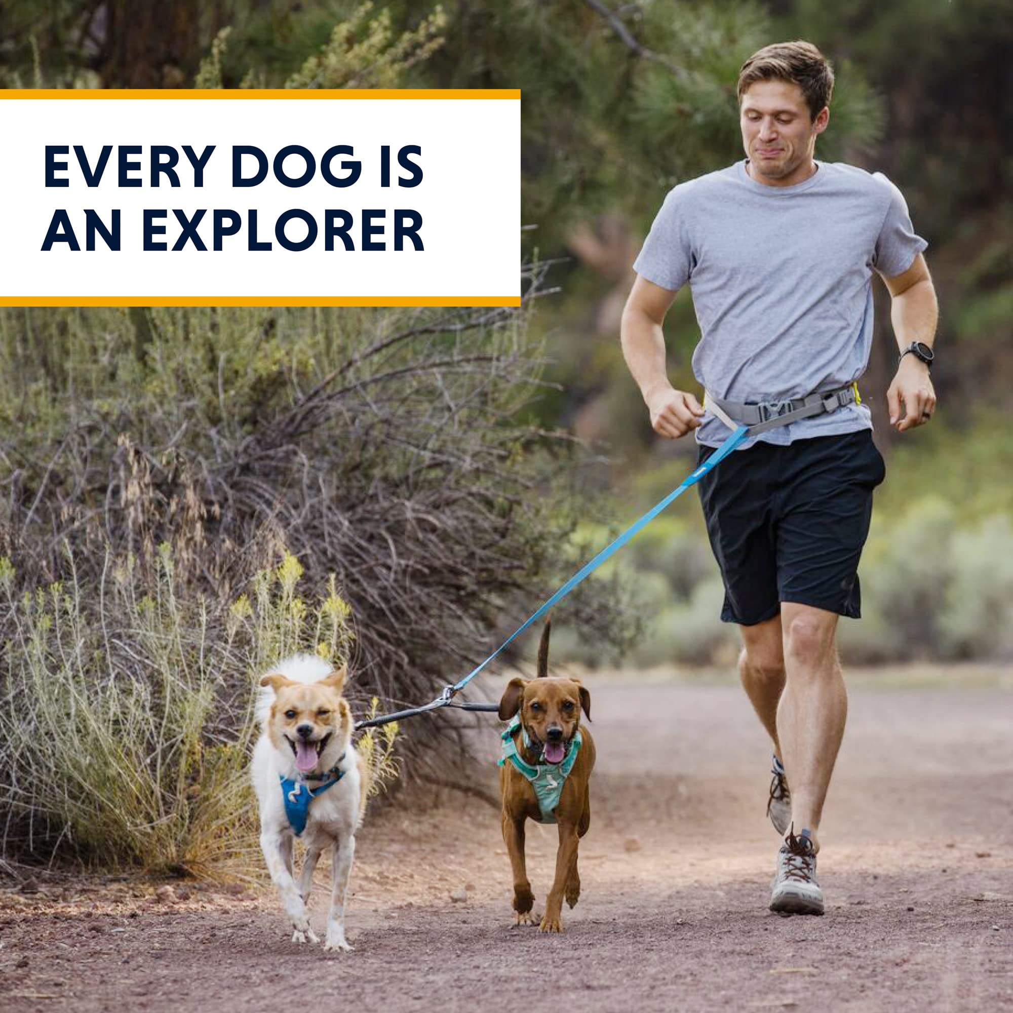 Ruffwear Basalt Gray Double Track Coupler in action supports coordinated two-dog adventures.