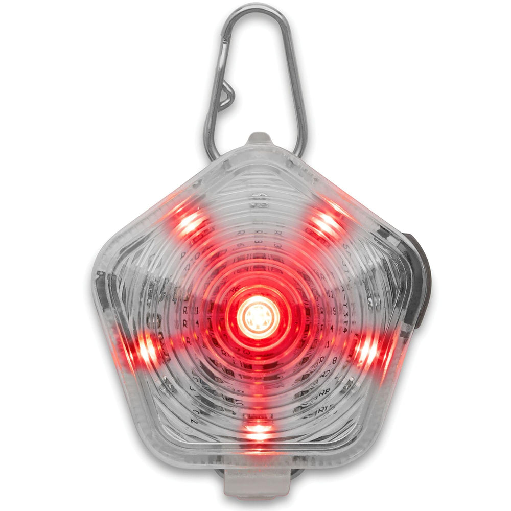Ruffwear Beacon Light clipped to collar for enhanced night visibility and safety.
