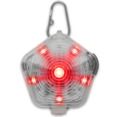 Ruffwear Beacon Light clipped to collar for enhanced night visibility and safety.