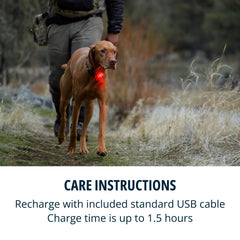 Ruffwear Beacon Light shows color-tagged visibility to track multiple dogs.