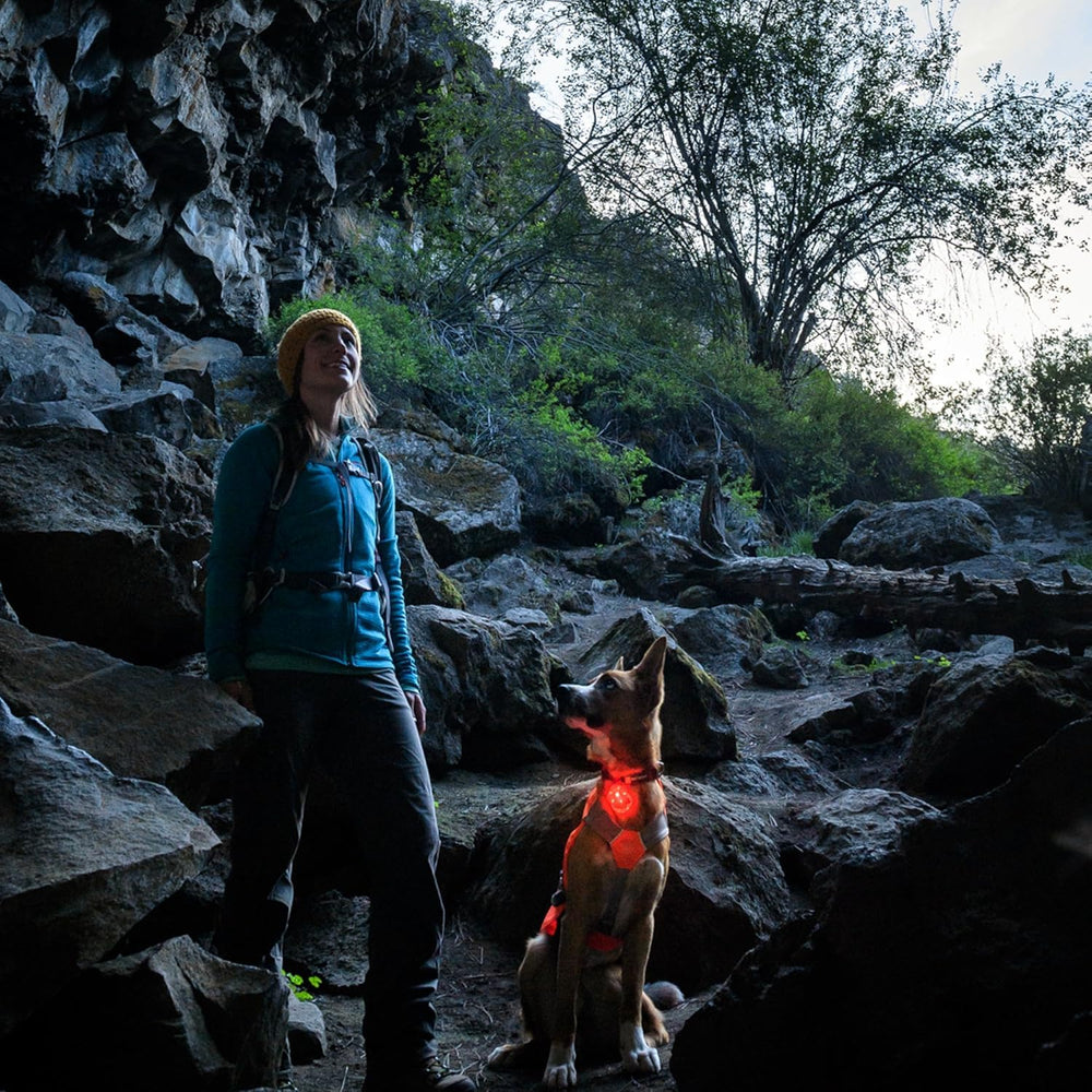 Ruffwear Beacon Light waterproof and rugged in snowy or muddy environments.