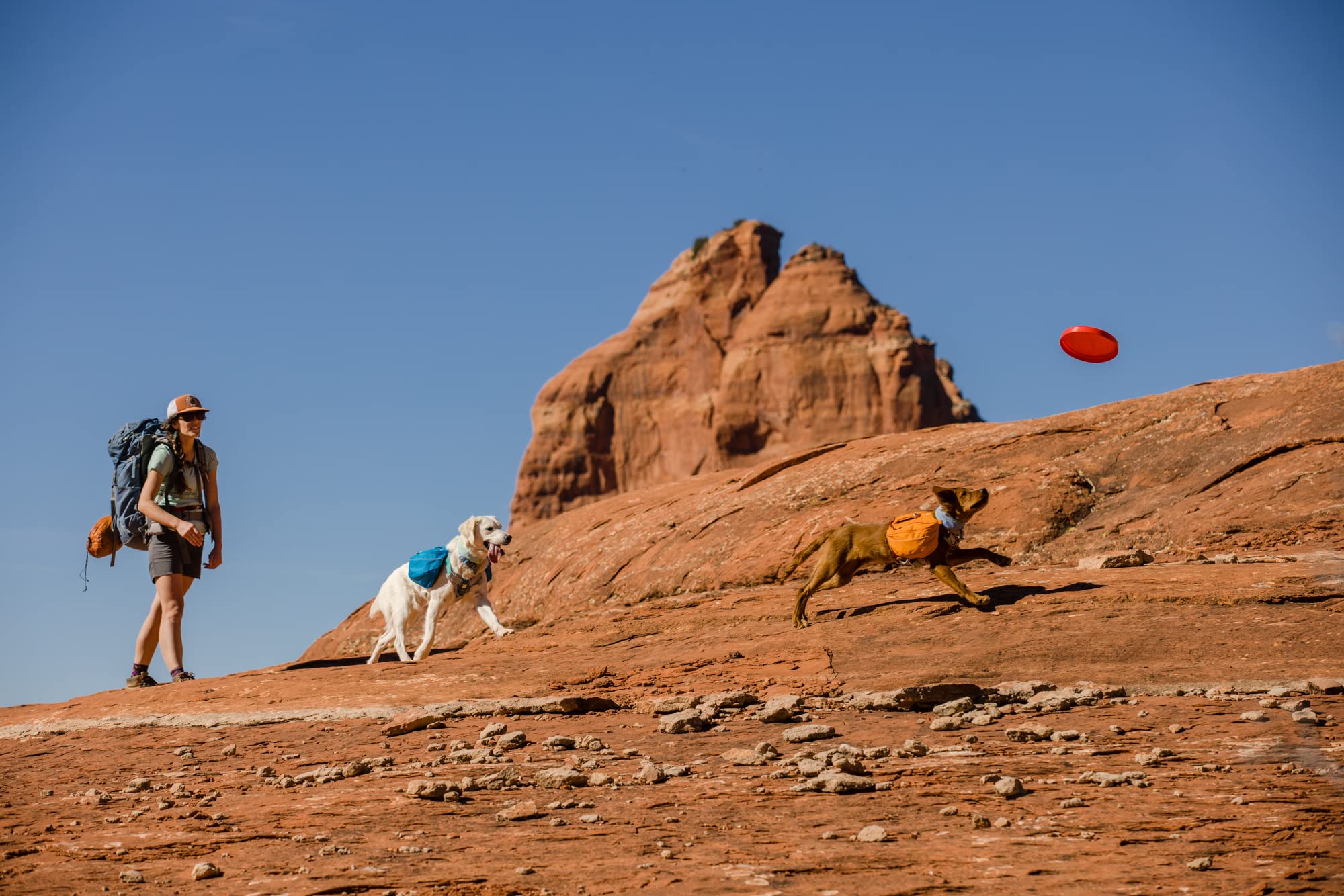 Ruffwear Camp Flyer bright colors aid fast tracking in grass or brush