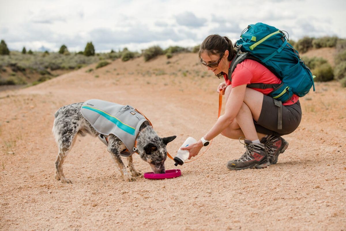 Ruffwear Camp Flyer is durable for daily fetch on rough terrain.