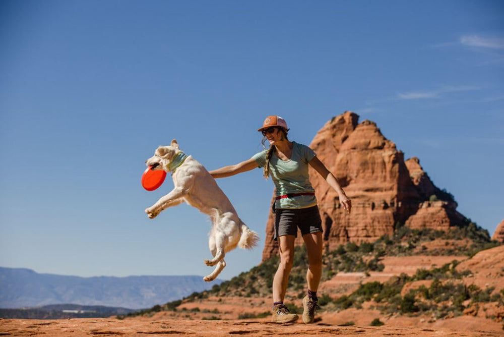 Ruffwear Camp Flyer's flexible material is gentle on teeth.