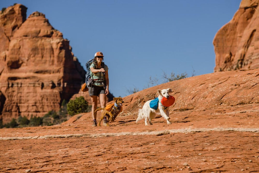 Ruffwear Camp Flyer high-visibility colors help tracking in flight.
