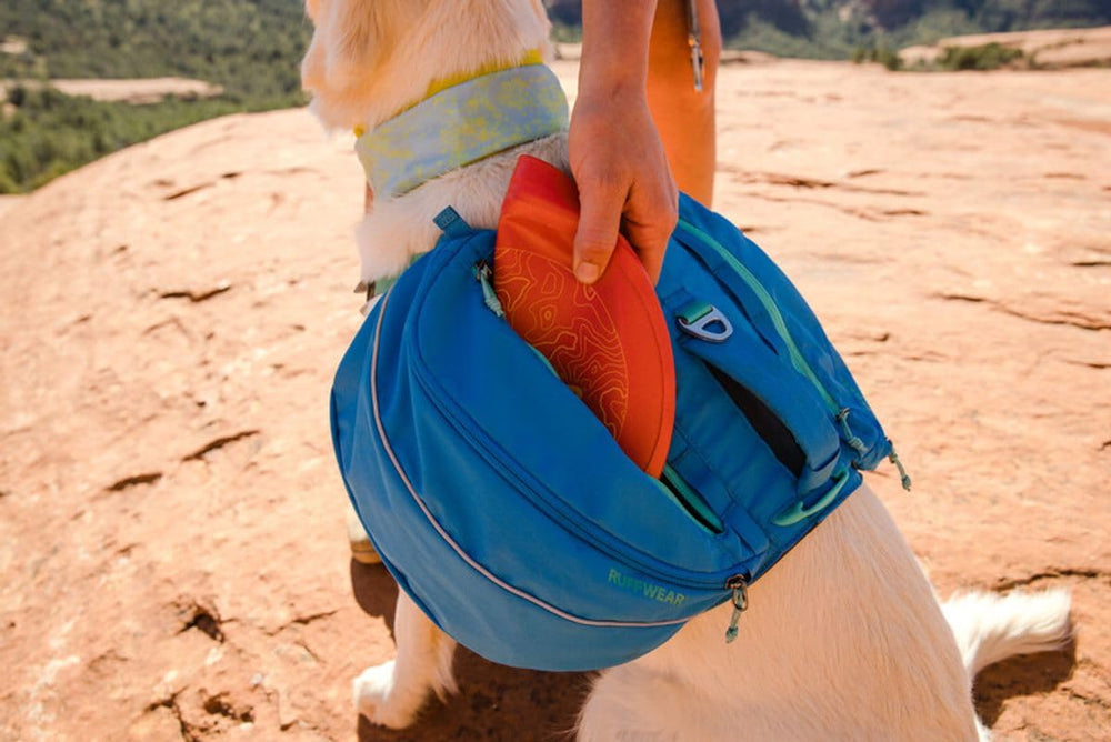 Ruffwear Camp Flyer used in open fields for long-distance land fetch.