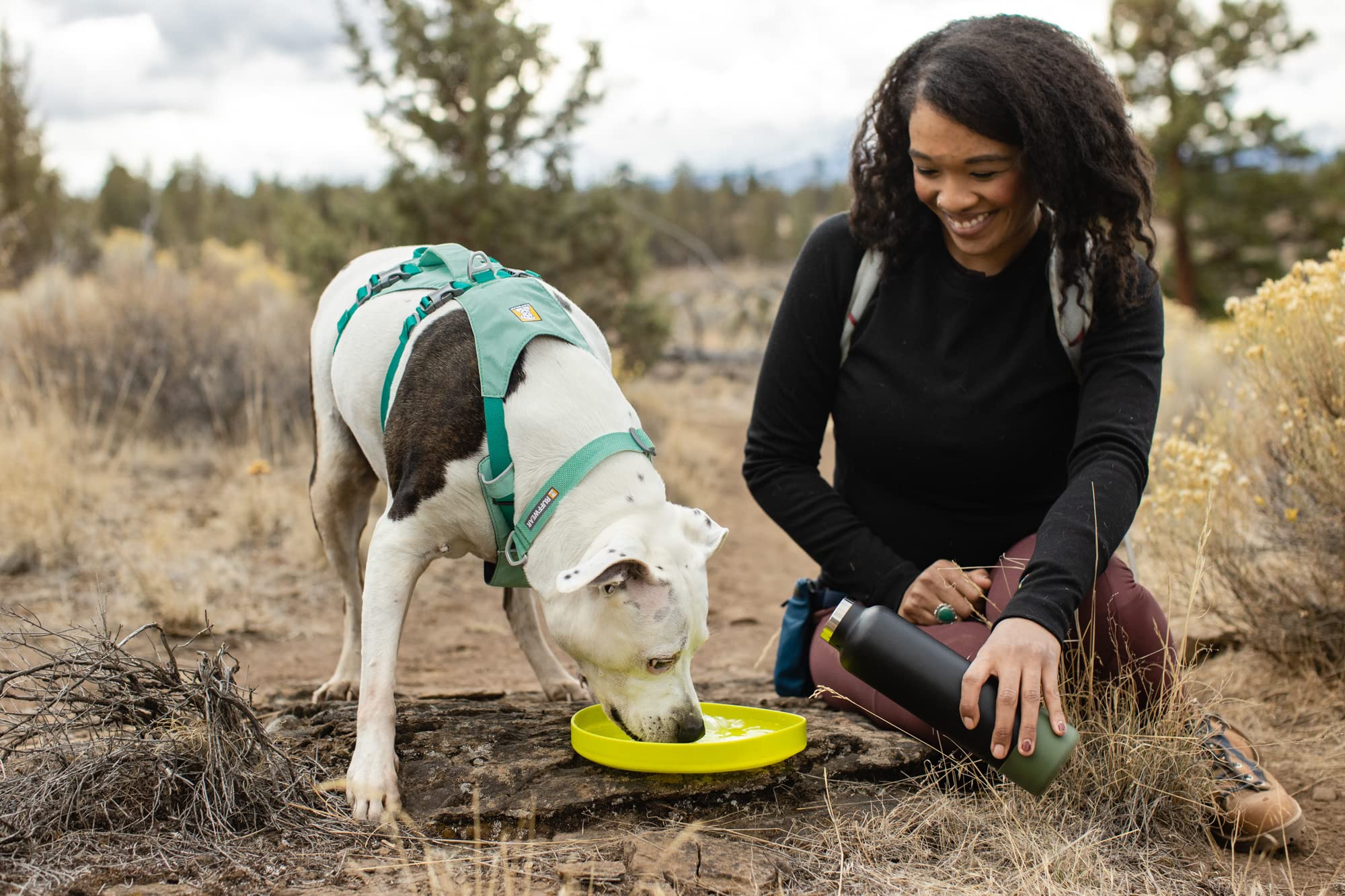 Ruffwear Camp Flyer on-field action showing packable design and rugged durability