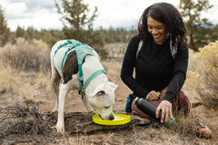 Ruffwear Camp Flyer on-field action showing packable design and rugged durability
