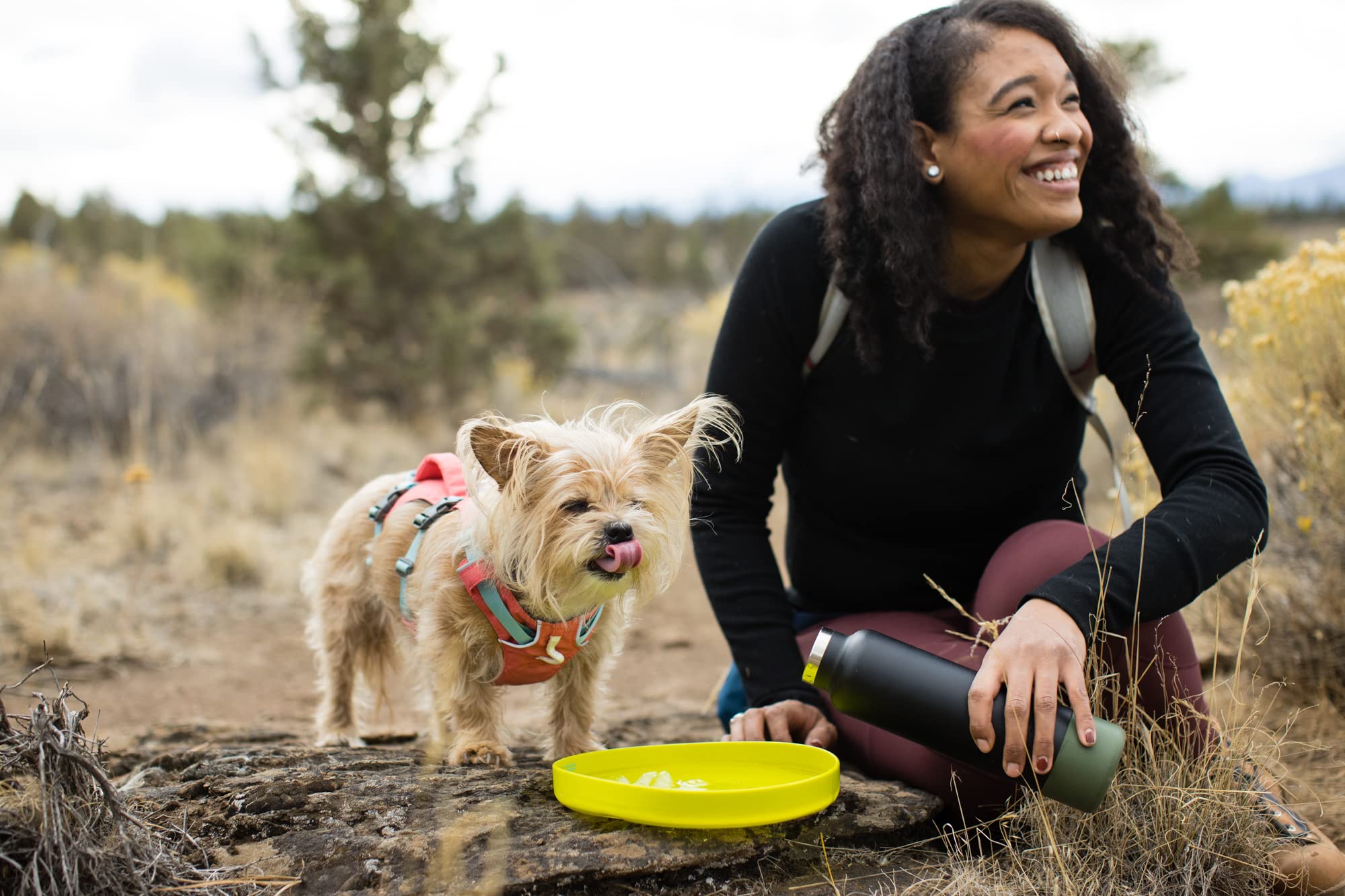 Ruffwear Camp Flyer open-field play highlighting off-leash suitability