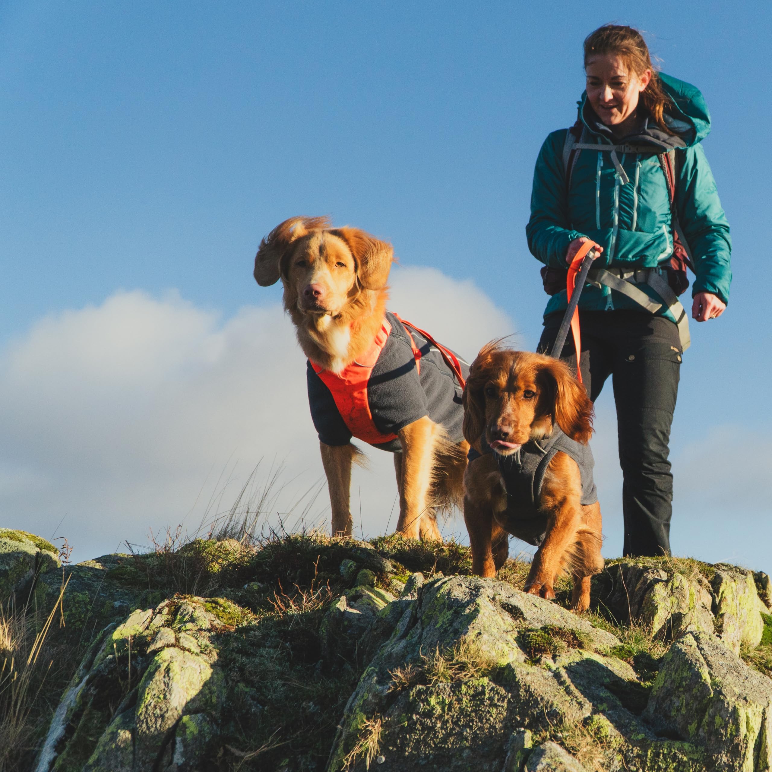 Ruffwear Climate Changer Berry Lava color adds stylish warmth for everyday outings.