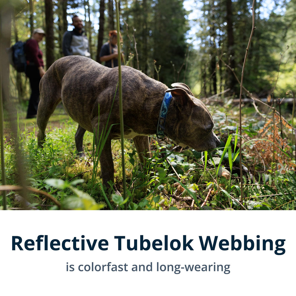 Ruffwear Crag Collar features anodized V-ring with separate ID attachment for secure, quiet leash use.