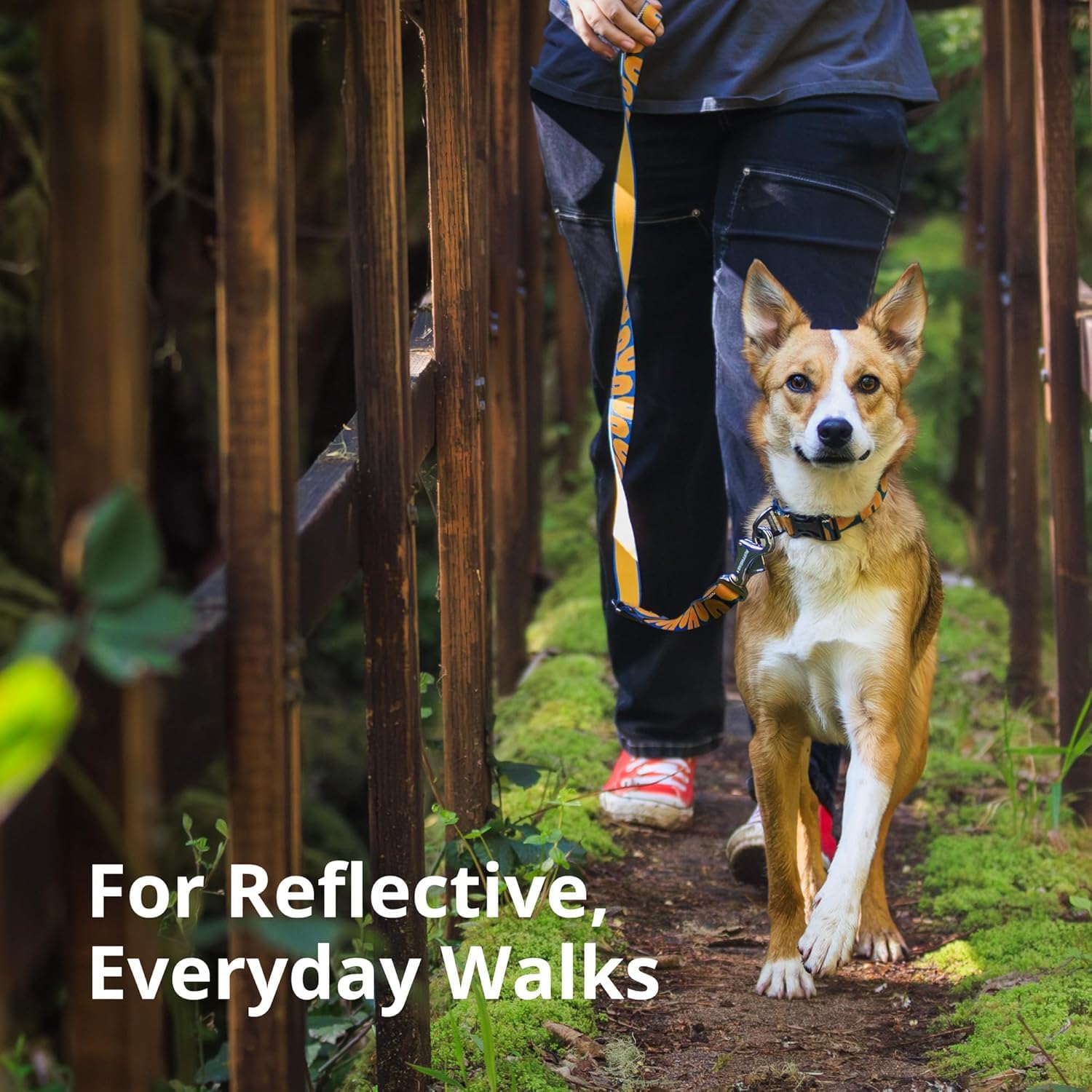 Ruffwear Crag Collar reflective detail demonstrates enhanced visibility for dawn walks