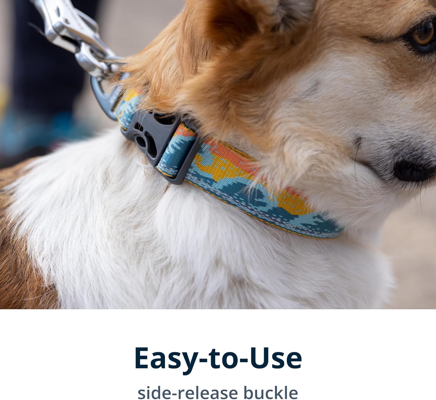 Ruffwear Crag Collar Tubelok webbing closeup emphasizes recycled materials and durability