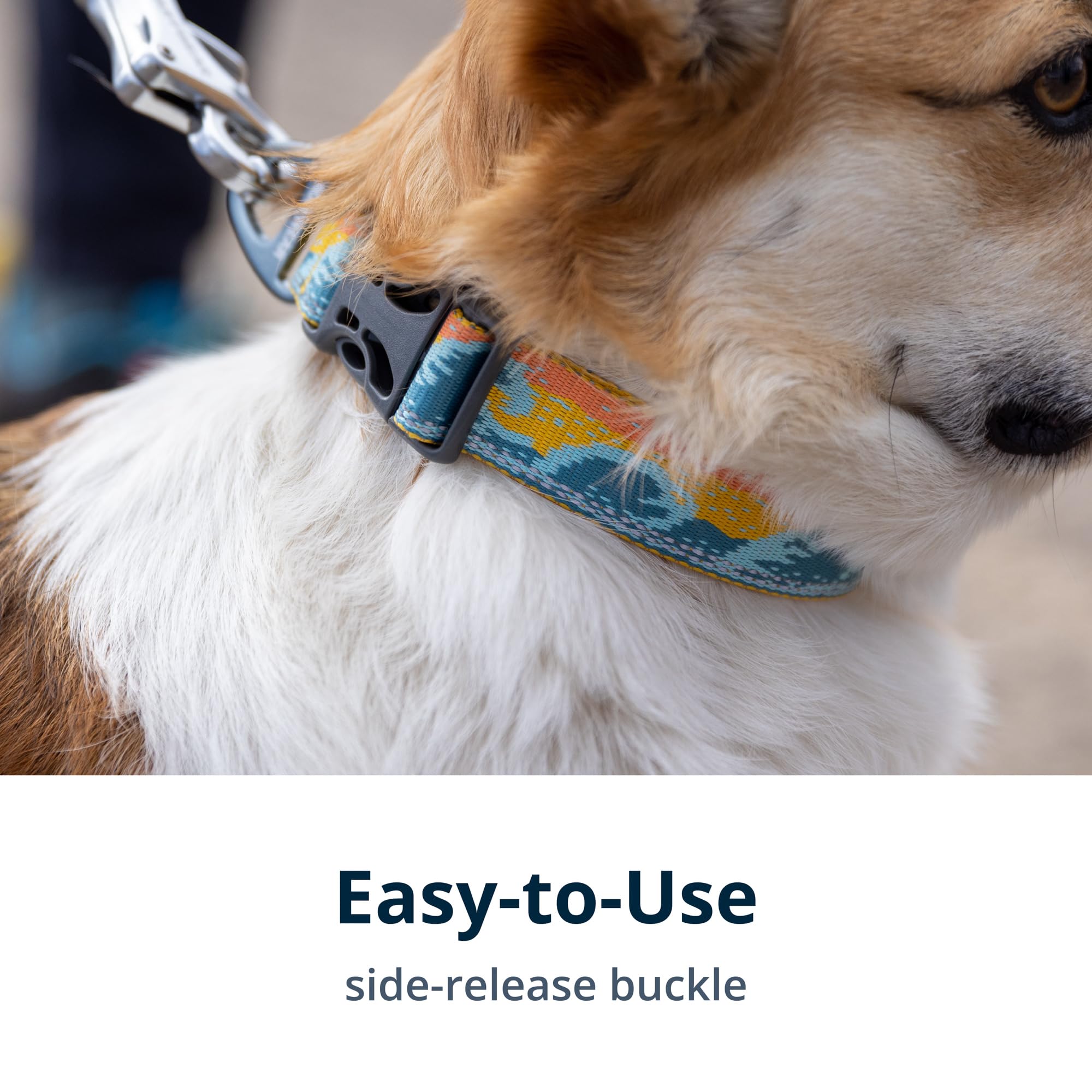 Ruffwear Crag Collar's Tubelok webbing provides lightweight comfort for all-day wear.