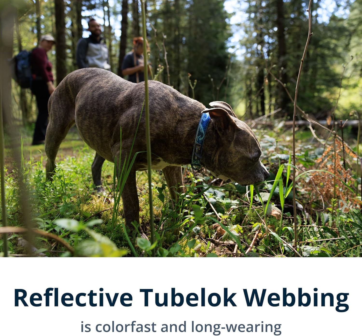 Ruffwear Crag Collar V-ring and ID-tag closeup highlights secure, quiet leash connections