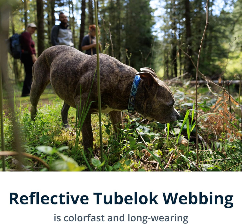 Ruffwear Crag Collar V-ring and ID-tag closeup highlights secure, quiet leash connections