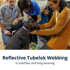 Ruffwear Crag Ex Leash reflective Tubelok improves visibility in low light.