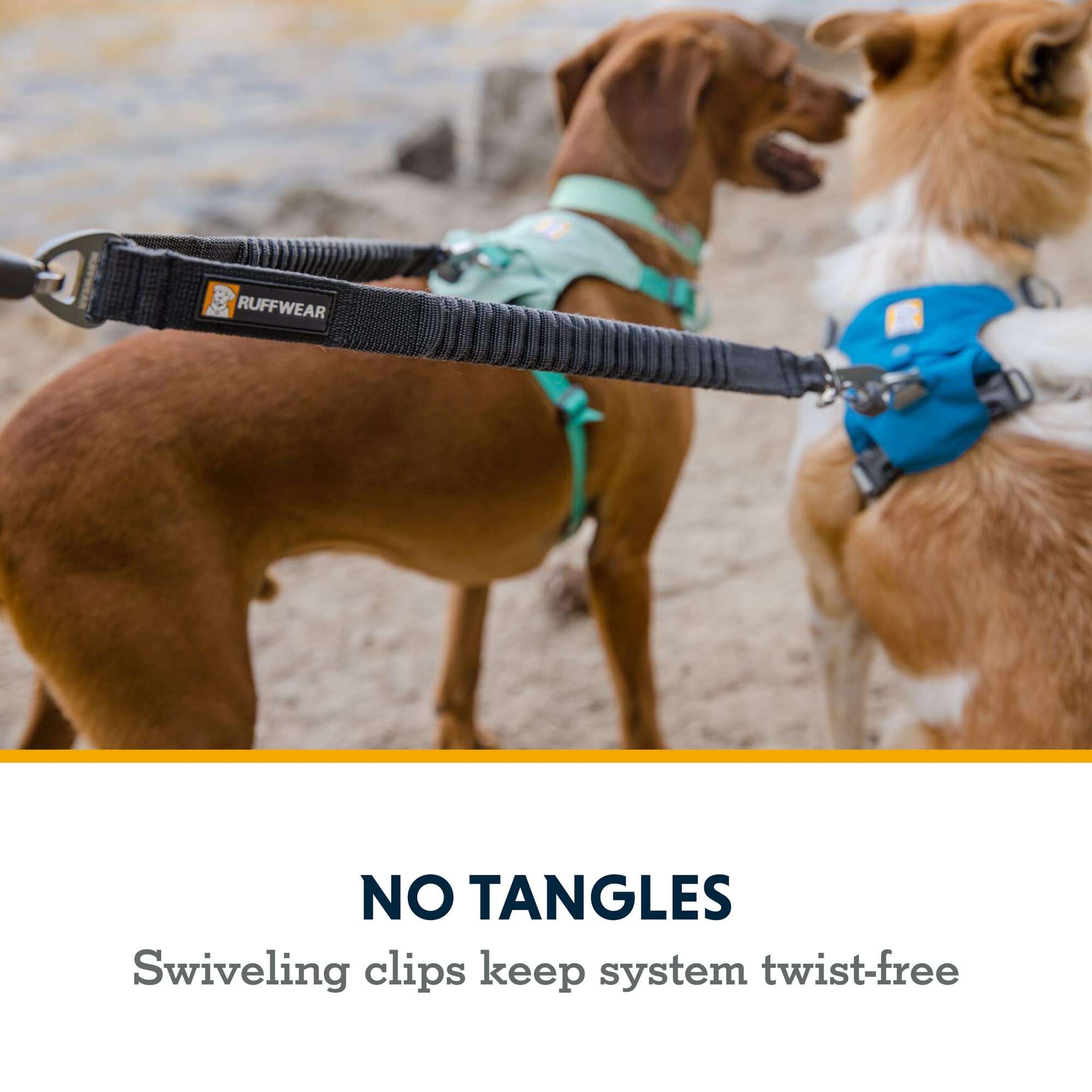 Ruffwear Double Track Coupler aluminum V-ring converts any leash to a two-dog setup.