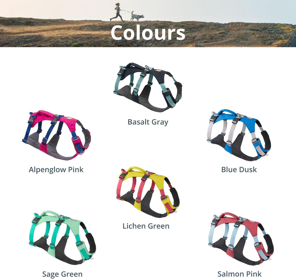 Ruffwear Flagline harness on dog during walk hiking scene