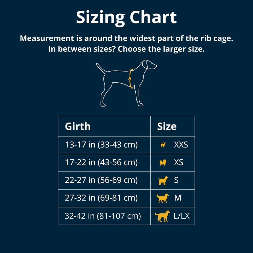 Ruffwear Flagline harness side profile highlights six-point adjustable fit