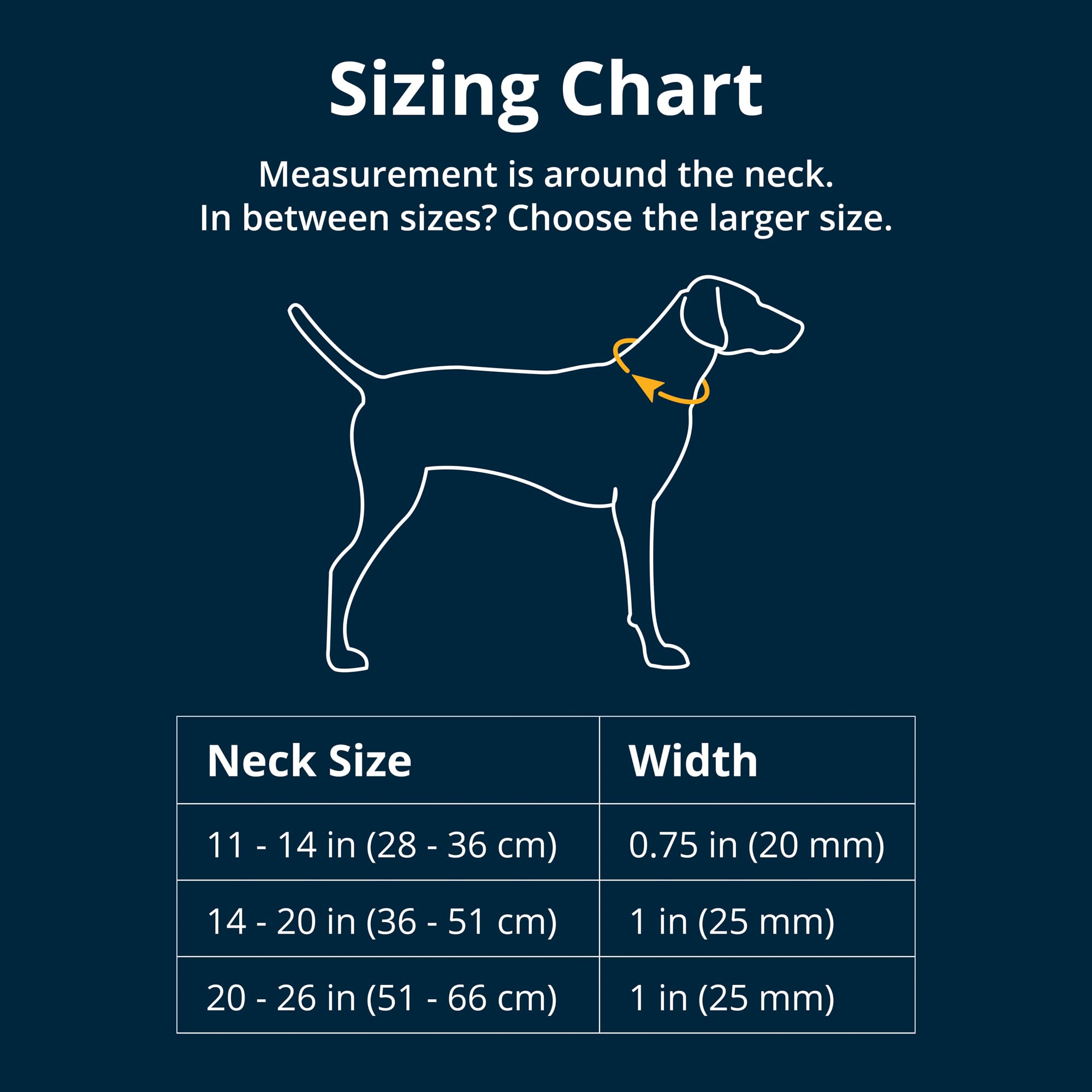 Ruffwear Front Range aluminum V-ring attachment on leash demonstrates rustproof, sturdy connection.