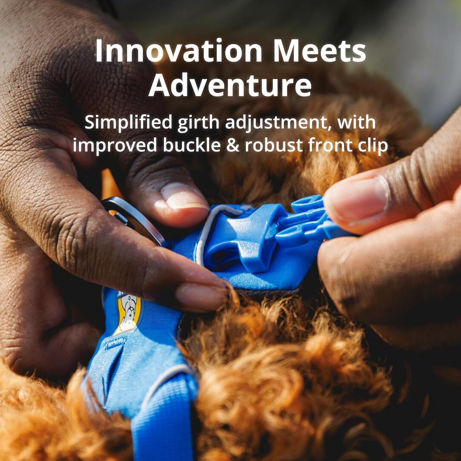 Ruffwear Front Range harness reflective trim boosts visibility at dawn and dusk.